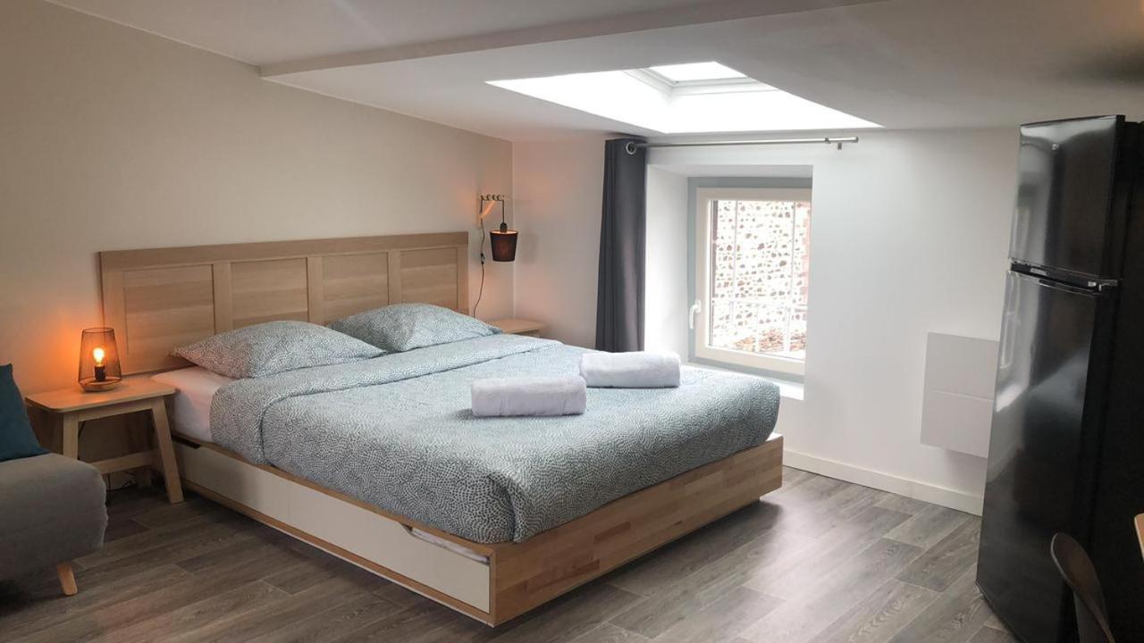 Jolis Appartements Au Coeur De Clermont Ferrand - Proche Jaude - Wifi Et Netflix מראה חיצוני תמונה